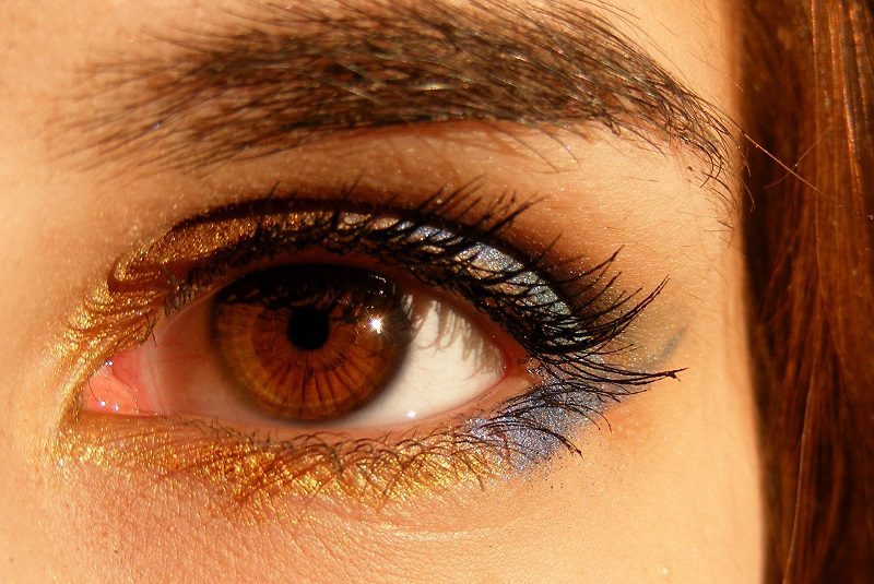 Eye Makeup for Brown Eyes Close Up of a Woman's Eye with Makeup On